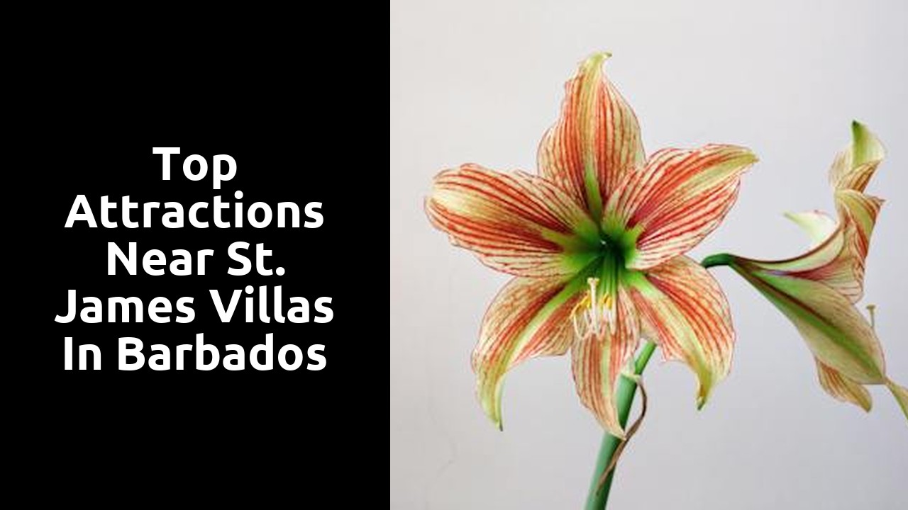 Top attractions near St. James villas in Barbados