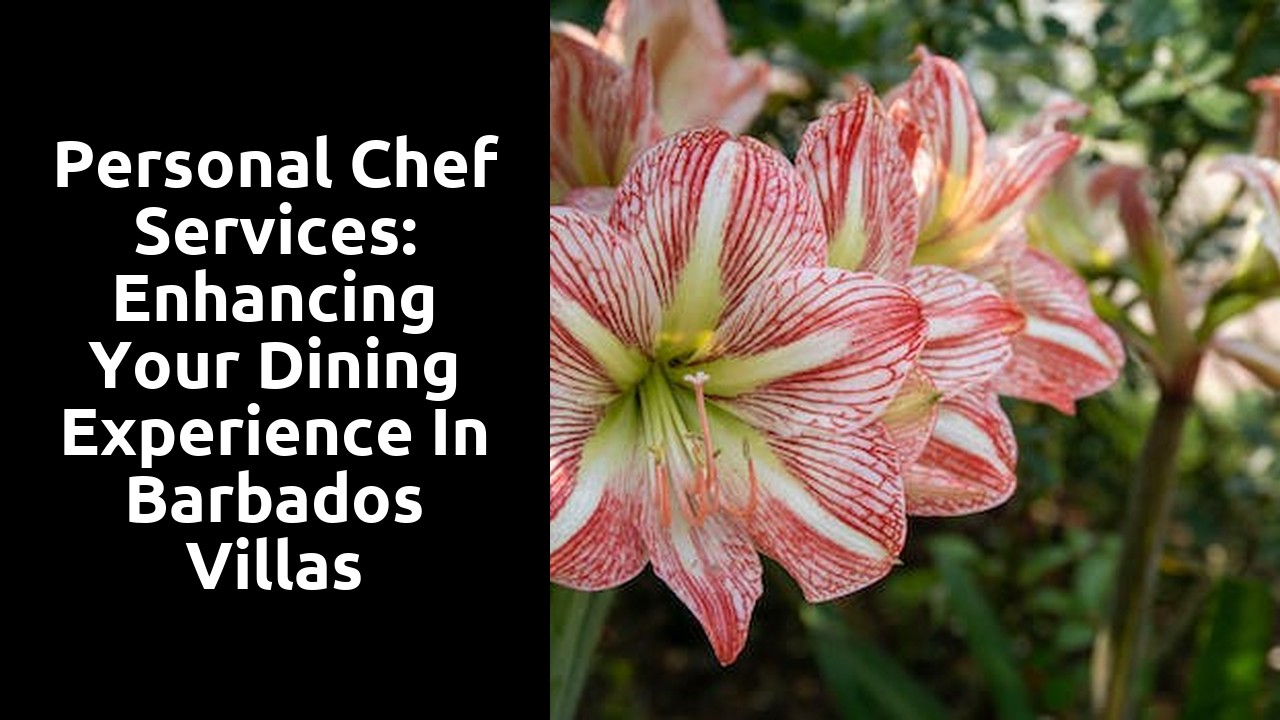 Personal Chef Services: Enhancing your Dining Experience in Barbados Villas