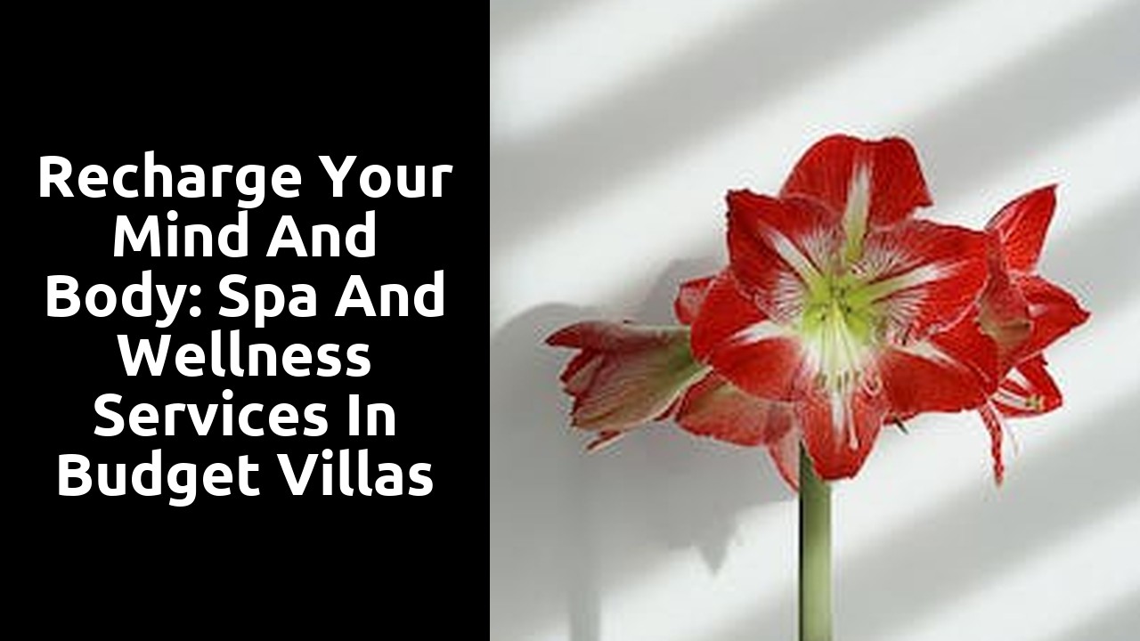 Recharge Your Mind and Body: Spa and Wellness Services in Budget Villas