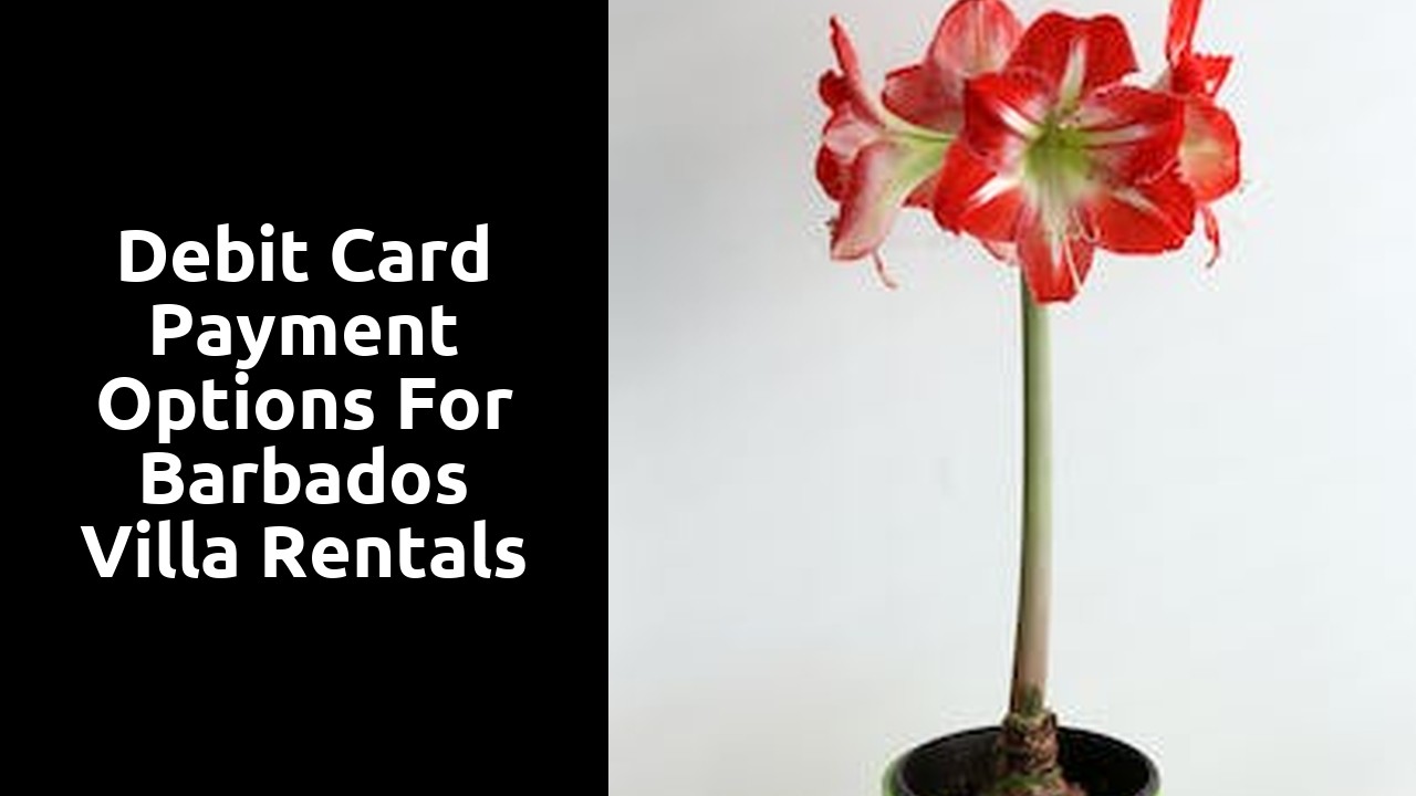 Debit card payment options for Barbados villa rentals