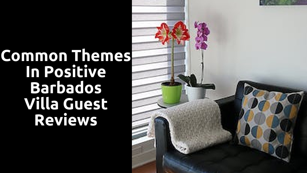 Common Themes in Positive Barbados Villa Guest Reviews