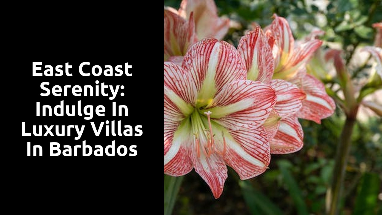 East Coast Serenity: Indulge in Luxury Villas in Barbados