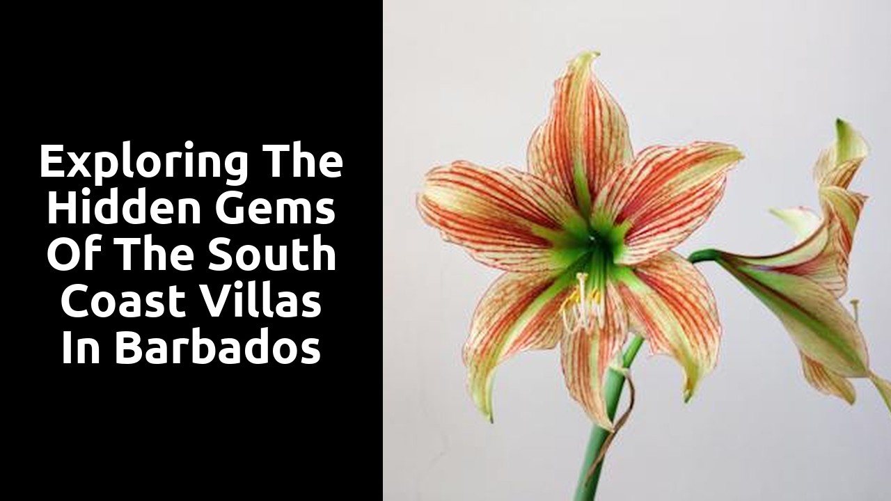 Exploring the Hidden Gems of the South Coast Villas in Barbados