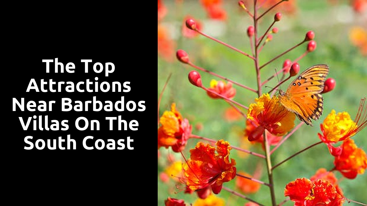 The Top Attractions near Barbados Villas on the South Coast