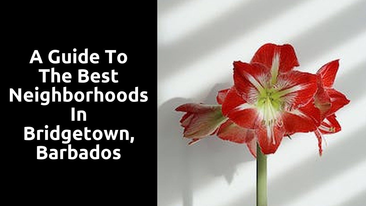 A guide to the best neighborhoods in Bridgetown, Barbados