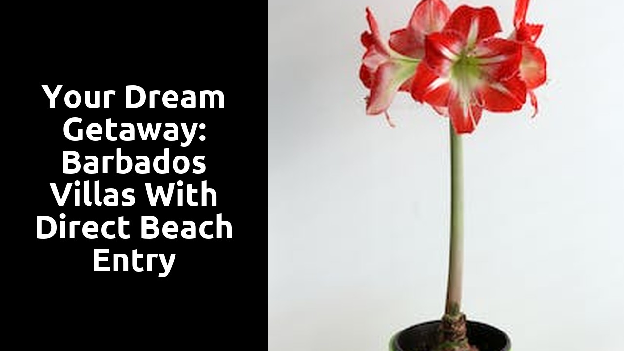 Your Dream Getaway: Barbados Villas with Direct Beach Entry