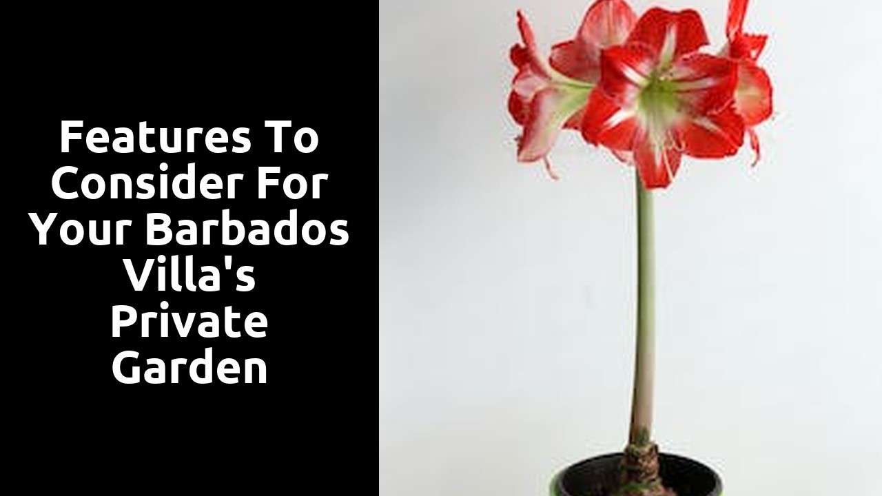 Features to Consider for Your Barbados Villa's Private Garden