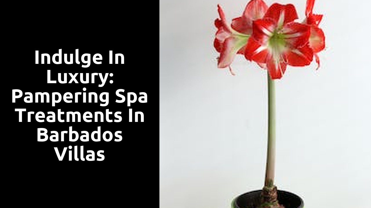 Indulge in Luxury: Pampering Spa Treatments in Barbados Villas