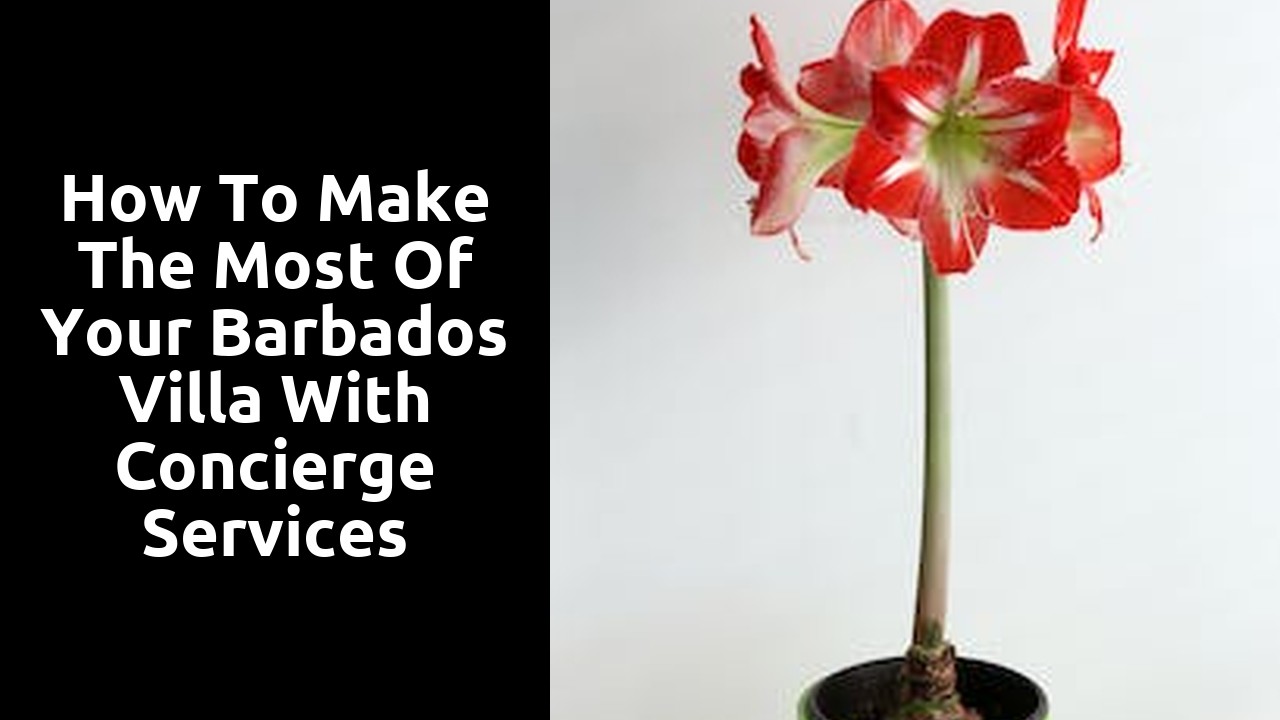 How to Make the Most of Your Barbados Villa with Concierge Services