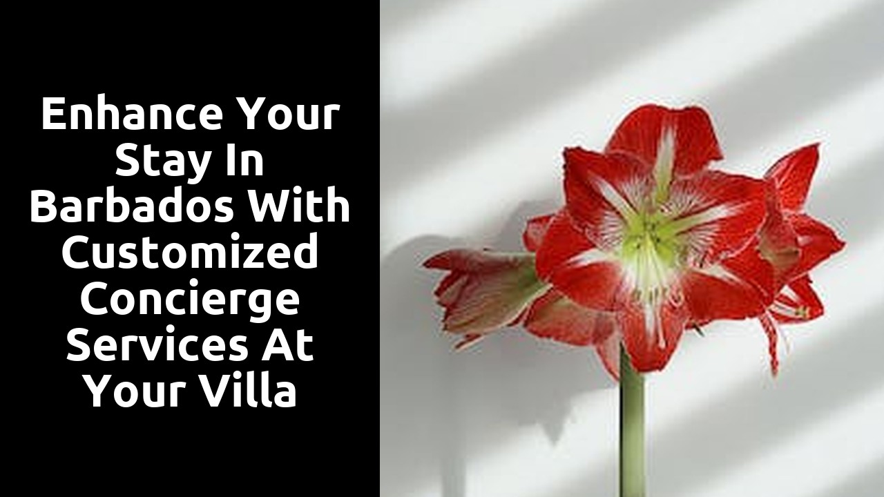 Enhance Your Stay in Barbados with Customized Concierge Services at Your Villa