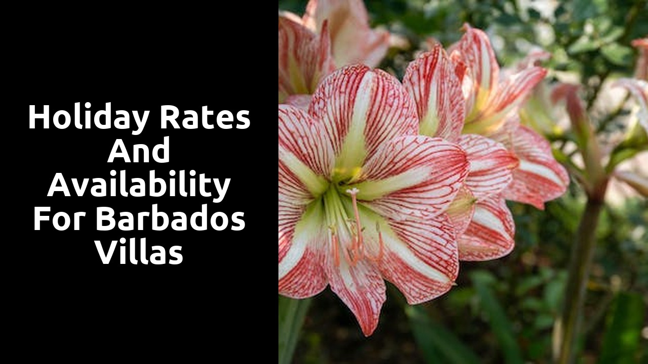 Holiday rates and availability for Barbados villas