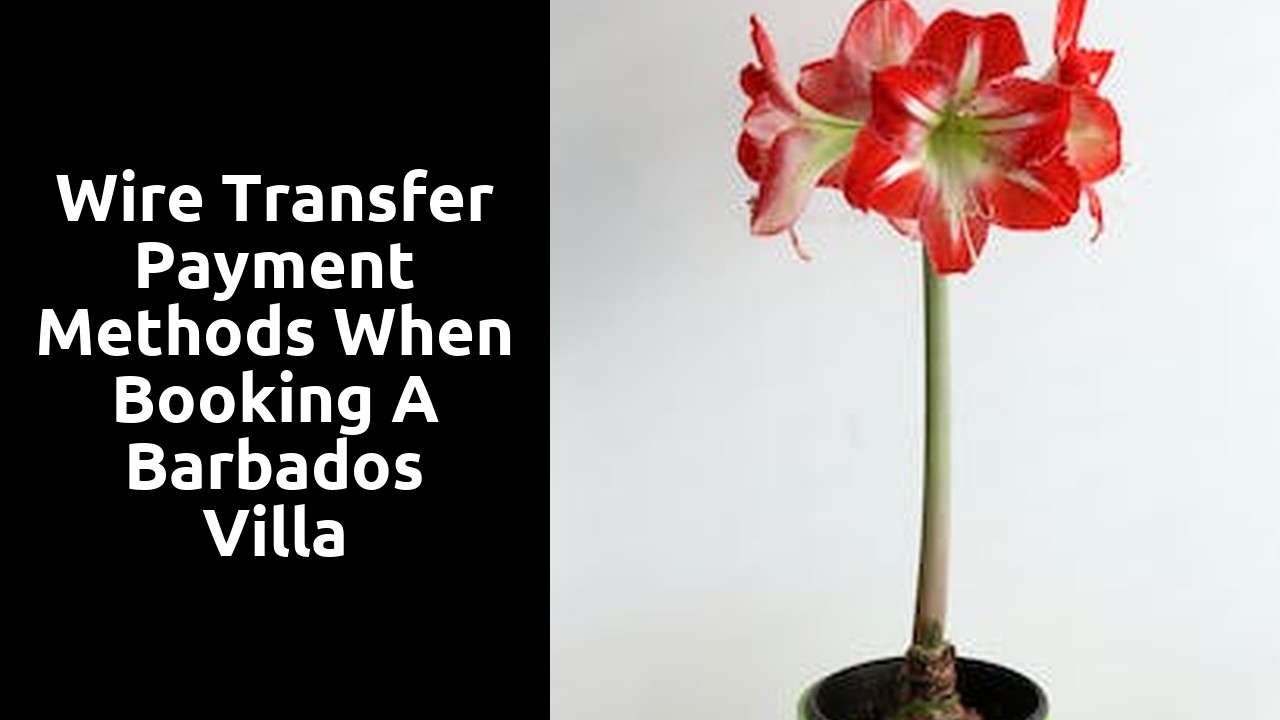 Wire transfer payment methods when booking a Barbados villa