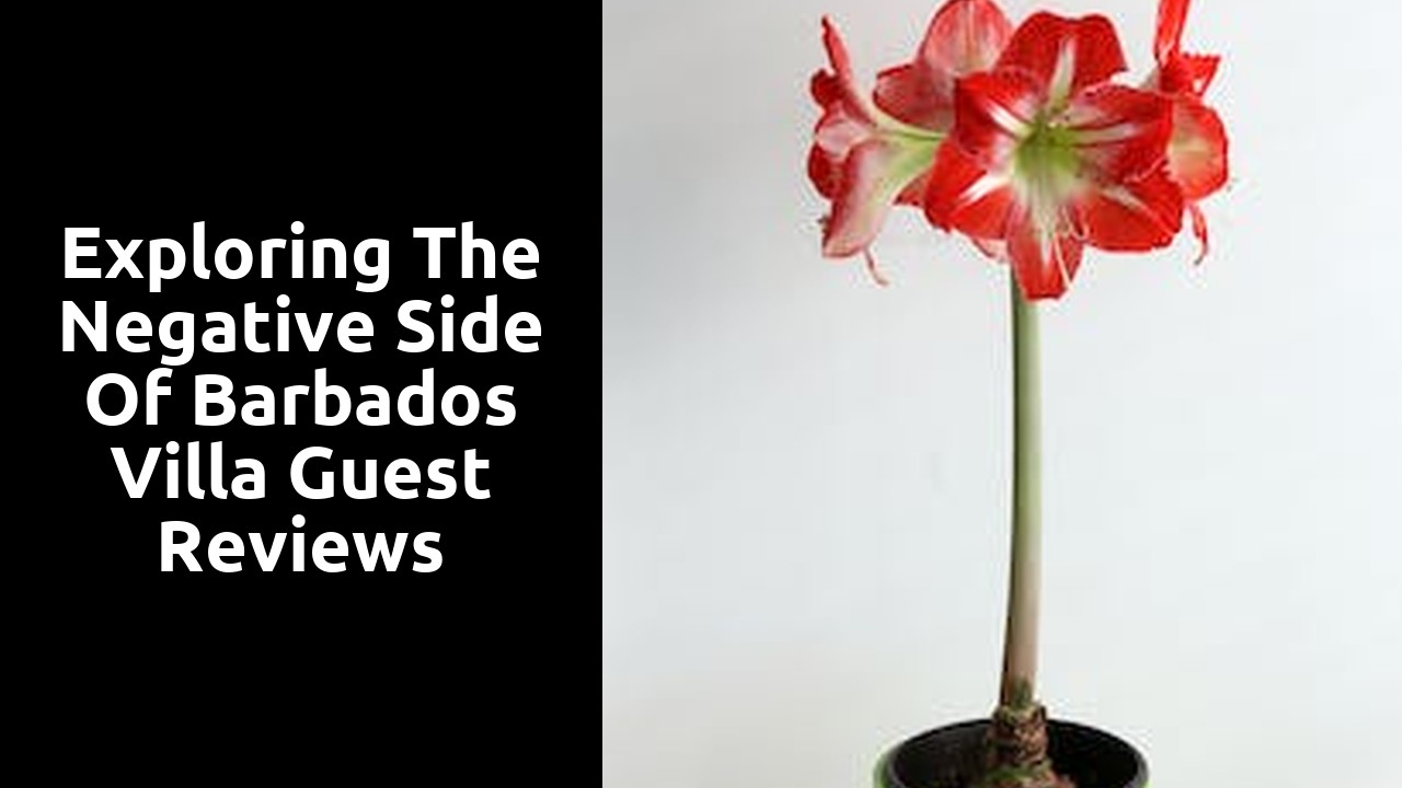 Exploring the Negative Side of Barbados Villa Guest Reviews